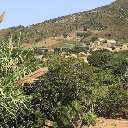Proche Ajaccio - Avec Piscine *