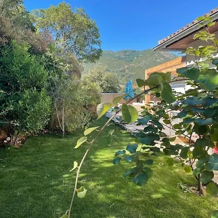 Proche Ajaccio - Avec Piscine Holiday home Alata